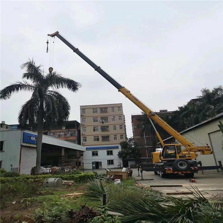 龙州吊车吊大树几种方法